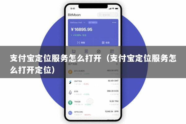 支付宝定位服务怎么打开(支付宝定位服务怎么打开定位)