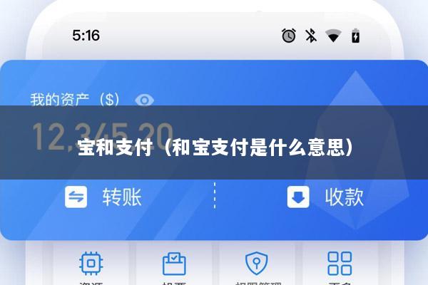 宝和支付(和宝支付是什么意思)