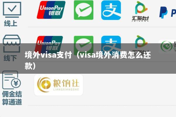 境外visa支付(visa境外消费怎么还款)