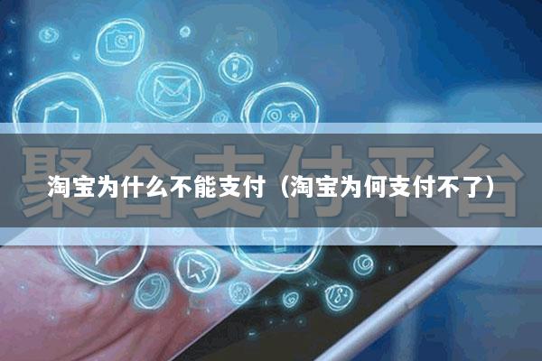 淘宝为什么不能支付(淘宝为何支付不了)