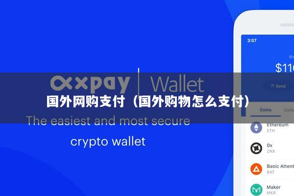 国外网购支付(国外购物怎么支付)