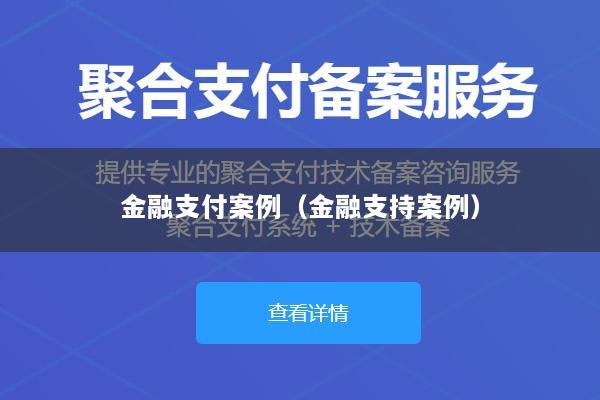 金融支付案例(金融支持案例)