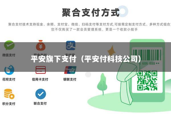 平安旗下支付(平安付科技公司)
