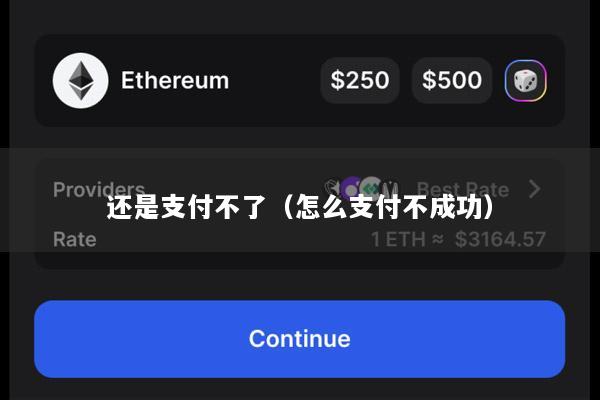 还是支付不了(怎么支付不成功)