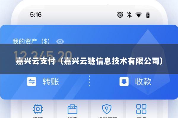 嘉兴云支付(嘉兴云链信息技术有限公司)