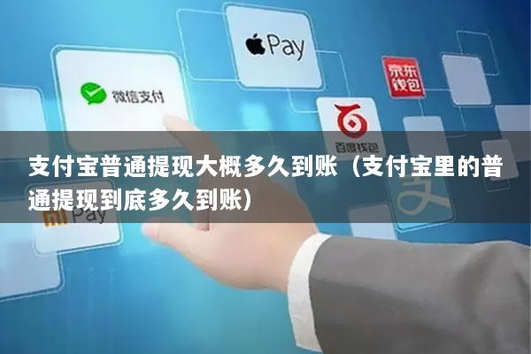 支付宝普通提现大概多久到账(支付宝里的普通提现到底多久到账)