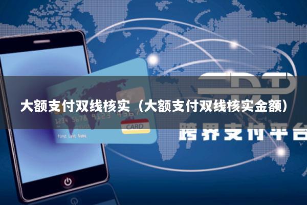 大额支付双线核实(大额支付双线核实金额)
