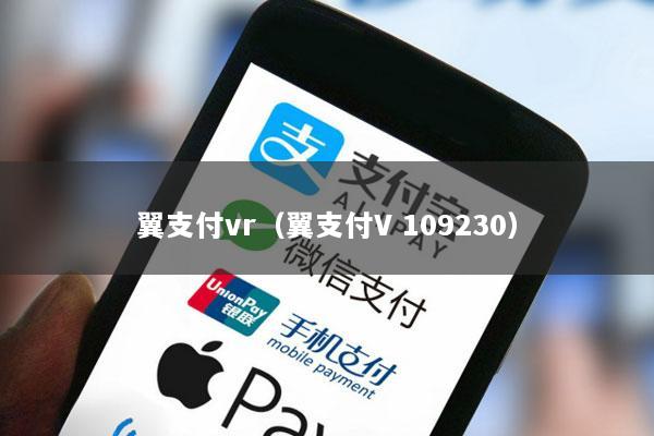 翼支付vr(翼支付V 109230)