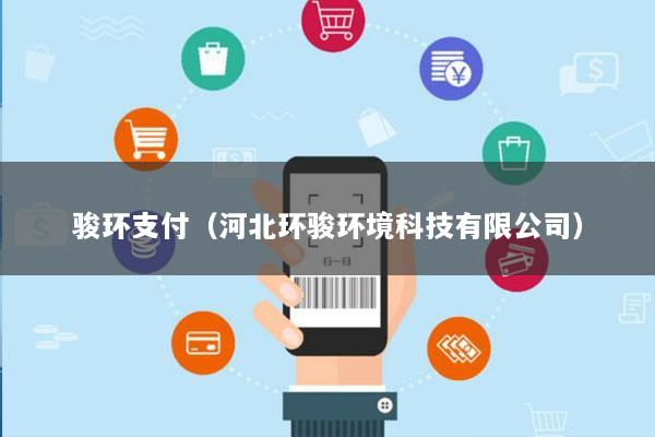 骏环支付(河北环骏环境科技有限公司)
