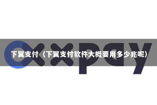 下翼支付(下翼支付软件大概要用多少兆呢)