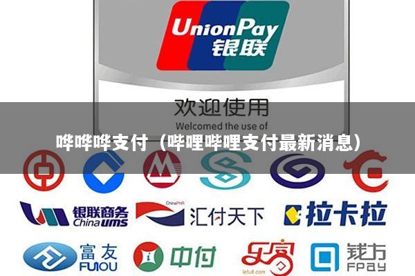 哗哗哗支付(哔哩哔哩支付最新消息)