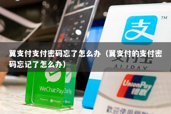 翼支付支付密码忘了怎么办(翼支付的支付密码忘记了怎么办)