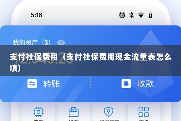 支付社保费用(支付社保费用现金流量表怎么填)