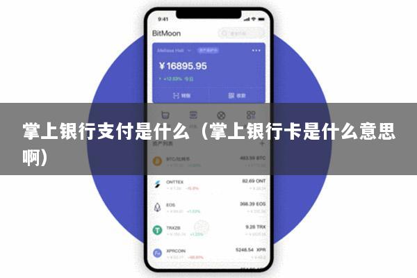 掌上银行支付是什么(掌上银行卡是什么意思啊)