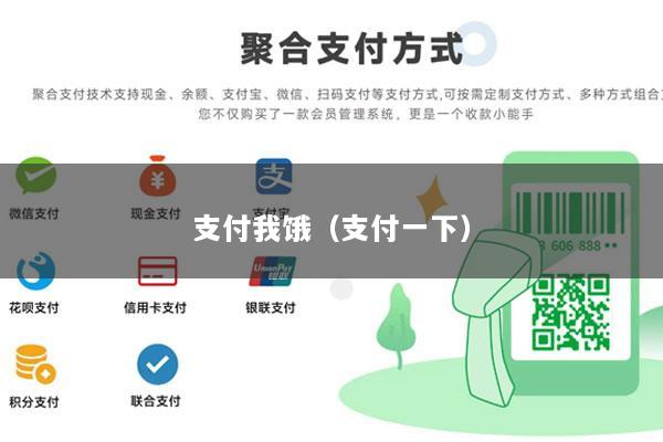 支付我饿(支付一下)