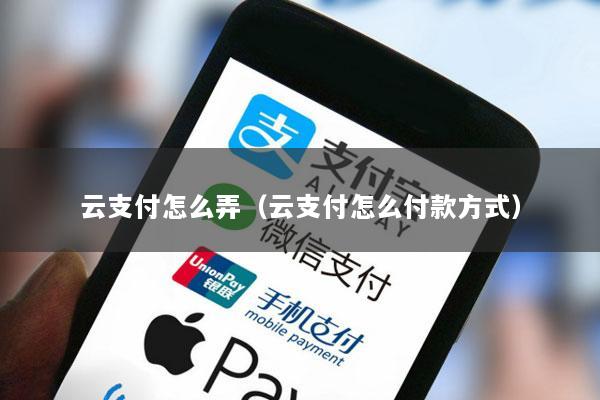 云支付怎么弄(云支付怎么付款方式)