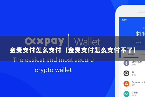 金麦支付怎么支付(金麦支付怎么支付不了)