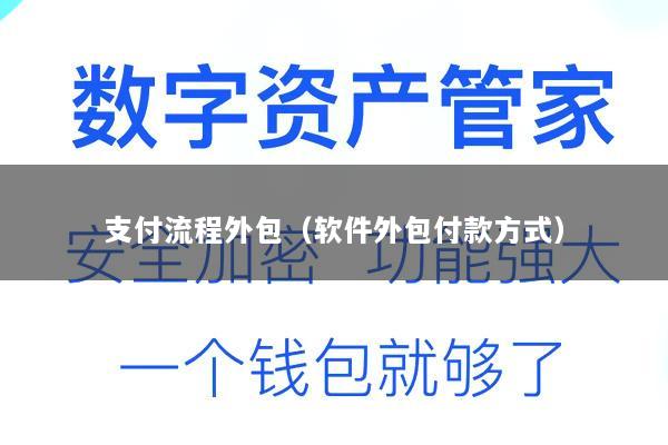 支付流程外包(软件外包付款方式)