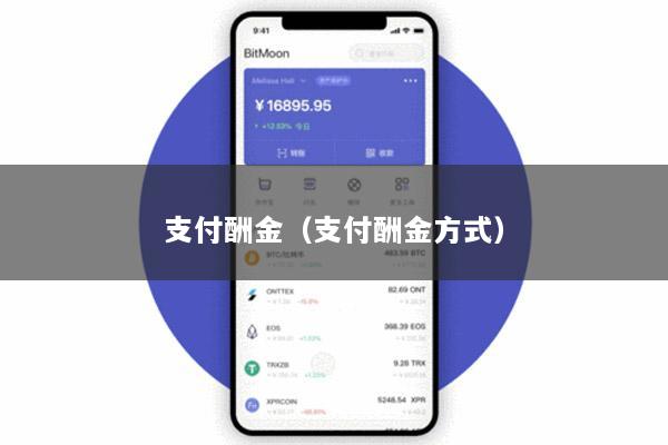 支付酬金(支付酬金方式)