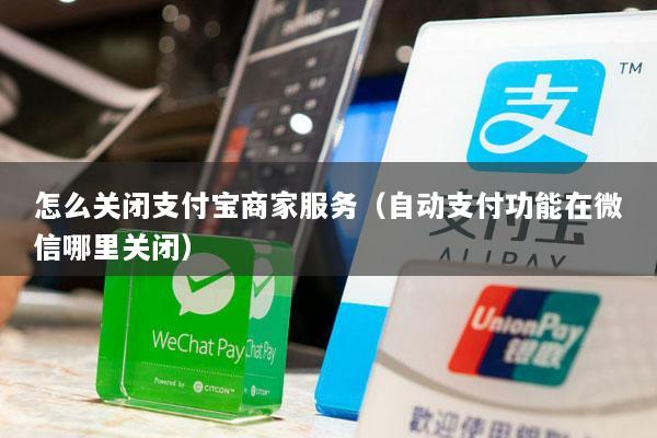 怎么关闭支付宝商家服务(自动支付功能在微信哪里关闭)