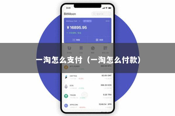一淘怎么支付(一淘怎么付款)