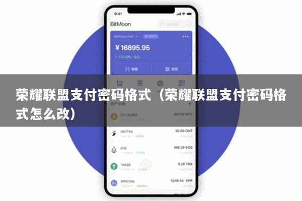 荣耀联盟支付密码格式(荣耀联盟支付密码格式怎么改)