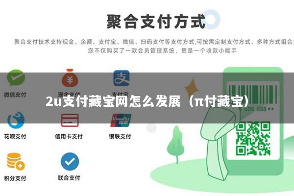 2u支付藏宝网怎么发展(π付藏宝)