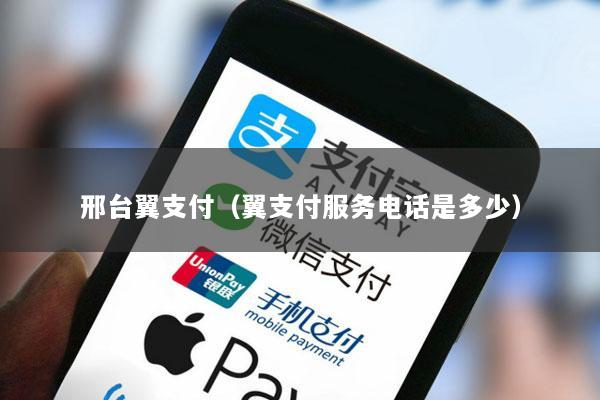 邢台翼支付(翼支付服务电话是多少)