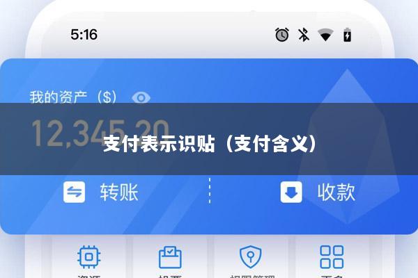 支付表示识贴(支付含义)