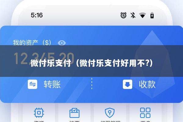 微付乐支付(微付乐支付好用不?)