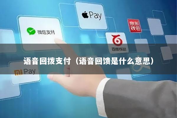 语音回拨支付(语音回馈是什么意思)