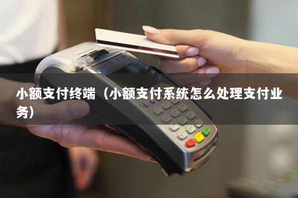 小额支付终端(小额支付系统怎么处理支付业务)