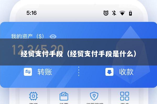 经贸支付手段(经贸支付手段是什么)