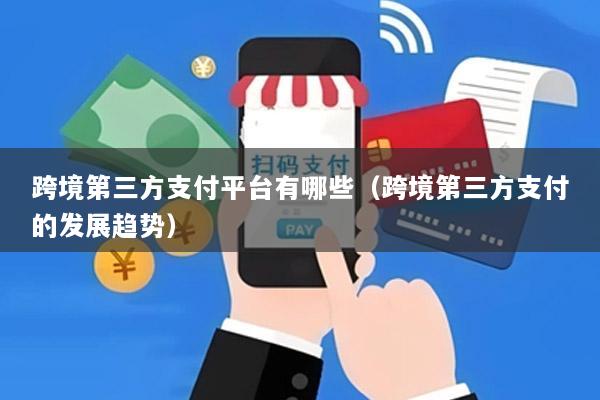 跨境第三方支付平台有哪些(跨境第三方支付的发展趋势)