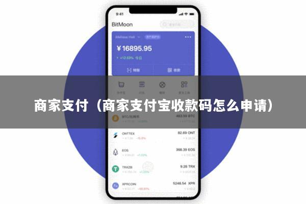 商家支付(商家支付宝收款码怎么申请)