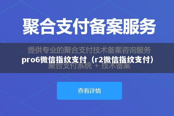 pro6微信指纹支付(r2微信指纹支付)