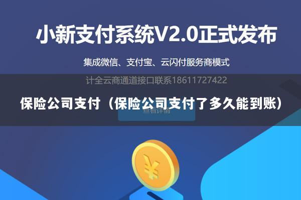 保险公司支付(保险公司支付了多久能到账)