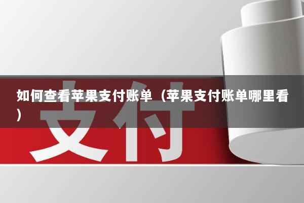 如何查看苹果支付账单(苹果支付账单哪里看)
