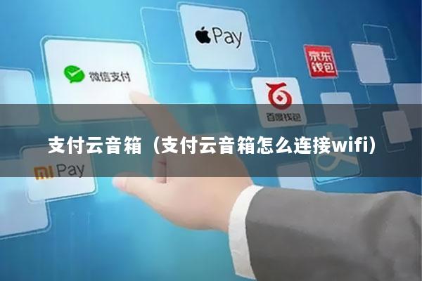 支付云音箱(支付云音箱怎么连接wifi)