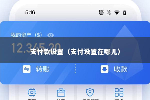 支付款设置(支付设置在哪儿)