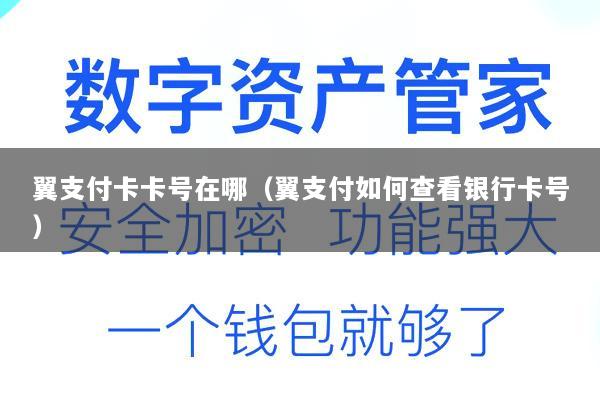 翼支付卡卡号在哪(翼支付如何查看银行卡号)