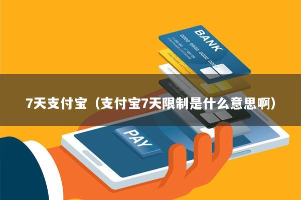 7天支付宝(支付宝7天限制是什么意思啊)