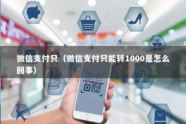 微信支付只(微信支付只能转1000是怎么回事)