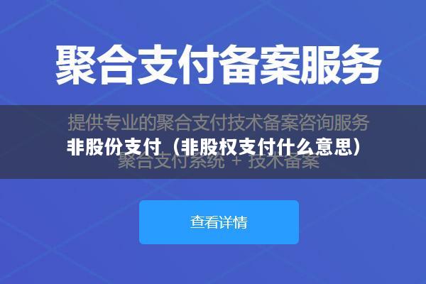 非股份支付(非股权支付什么意思)