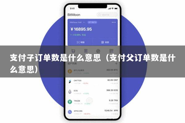 支付子订单数是什么意思(支付父订单数是什么意思)