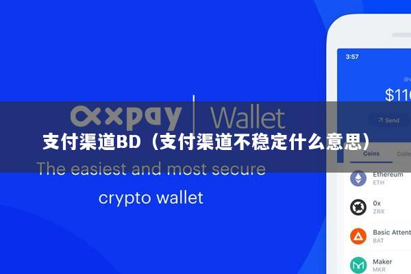 支付渠道BD(支付渠道不稳定什么意思)