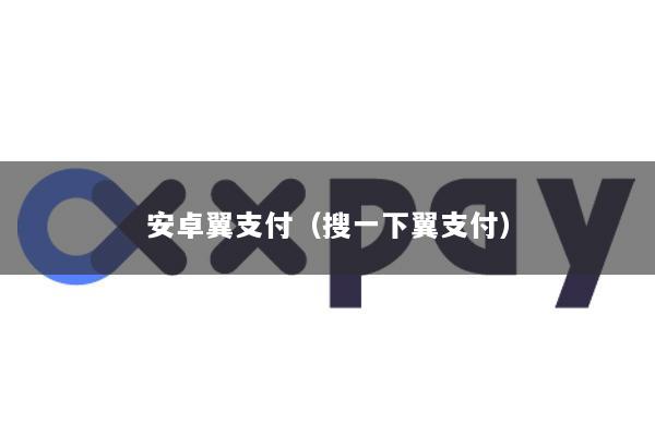 安卓翼支付(搜一下翼支付)