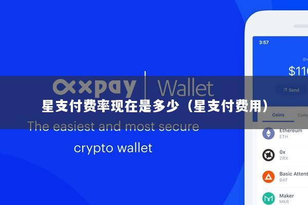 星支付费率现在是多少(星支付费用)