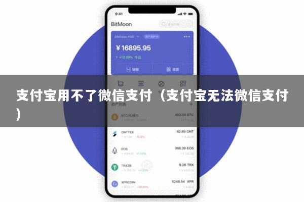 支付宝用不了微信支付(支付宝无法微信支付)