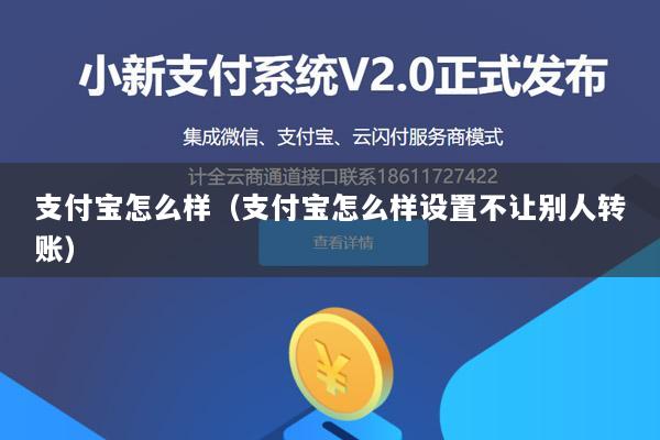 支付宝怎么样(支付宝怎么样设置不让别人转账)
